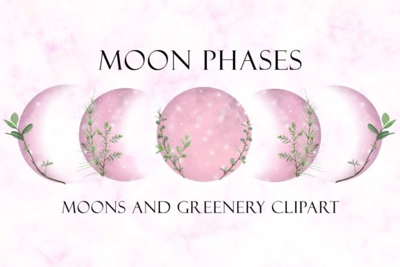 Moon Phases and Greenery: A Decorative Design for Digital Sellers