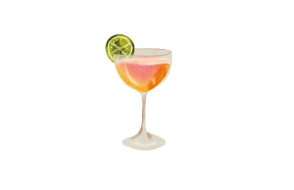 Peach Bellini Cocktail Watercolor for Happy Hour Products