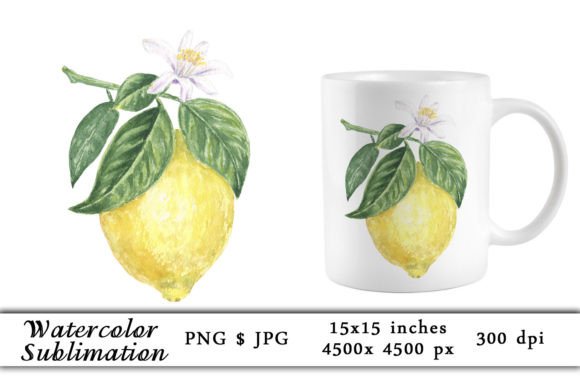 Watercolor Lemons Flower Sublimation PNG Review