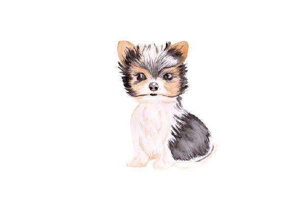 Young Biewer Yorkie Terrier Watercolor for Dogs Branding